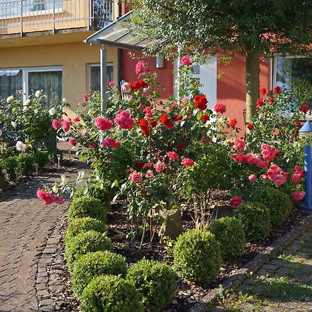 Kapellen-Drusweiler Ferienhaus Schloss-Garten מראה חיצוני תמונה