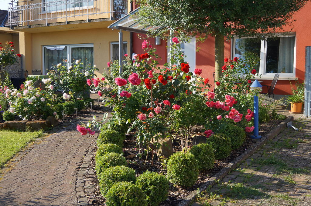 Kapellen-Drusweiler Ferienhaus Schloss-Garten מראה חיצוני תמונה